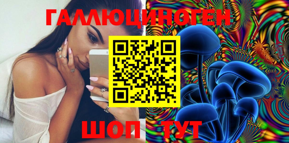 Прокопьевск  Галлюциногенные грибы Psilocybe  Вход с VPN 