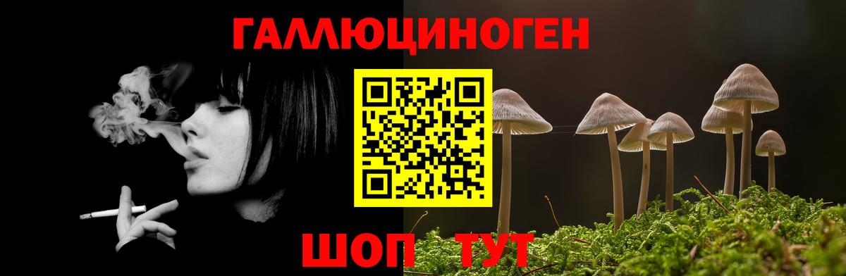 Псилоцибиновые грибы Psilocybine cubensis Прокопьевск